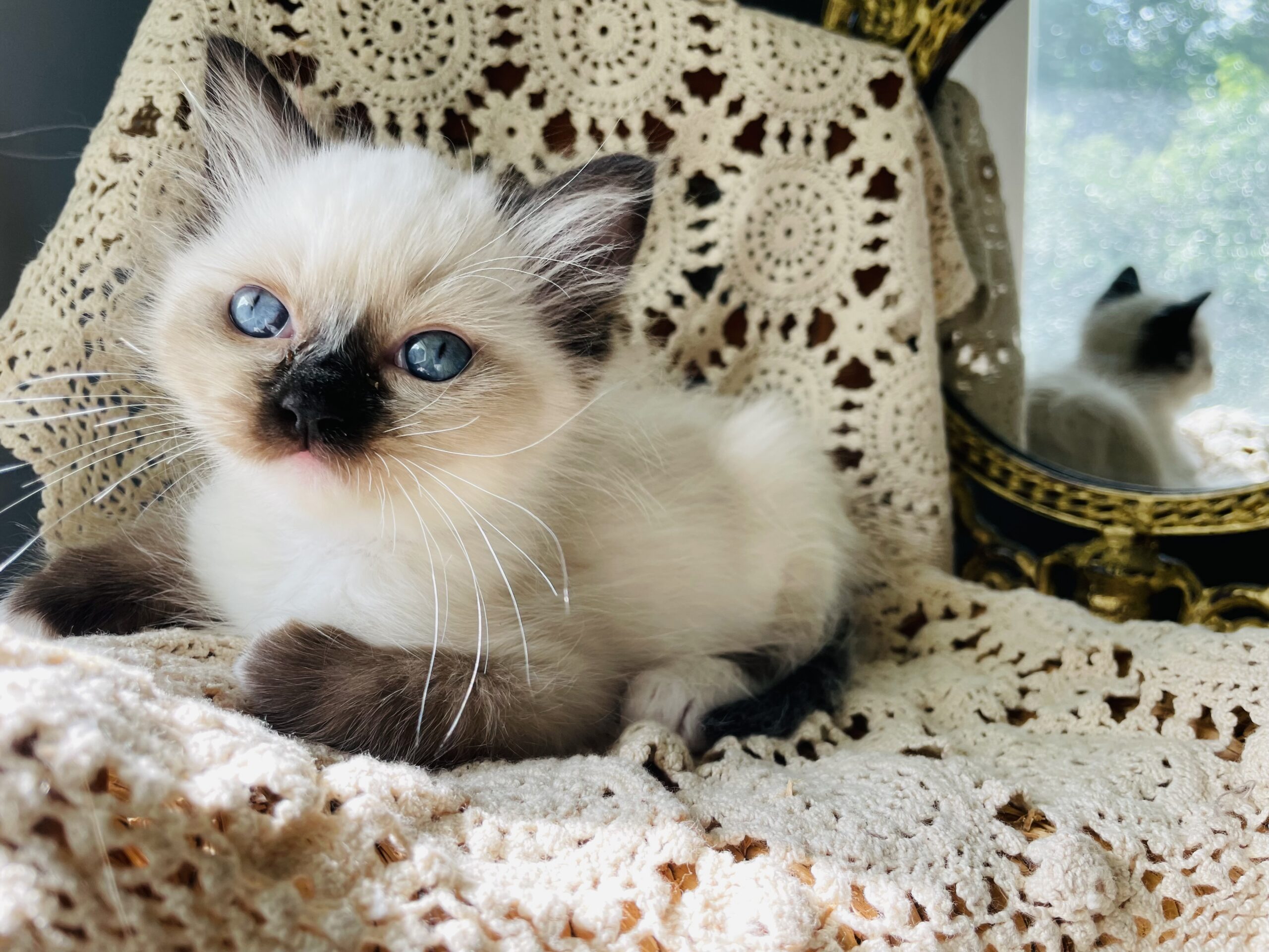 IMG_6260